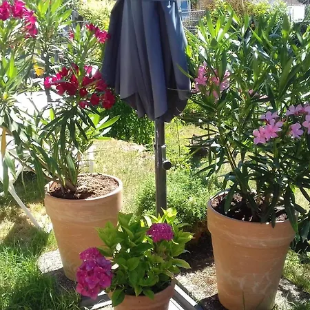 Ruth Apartament
