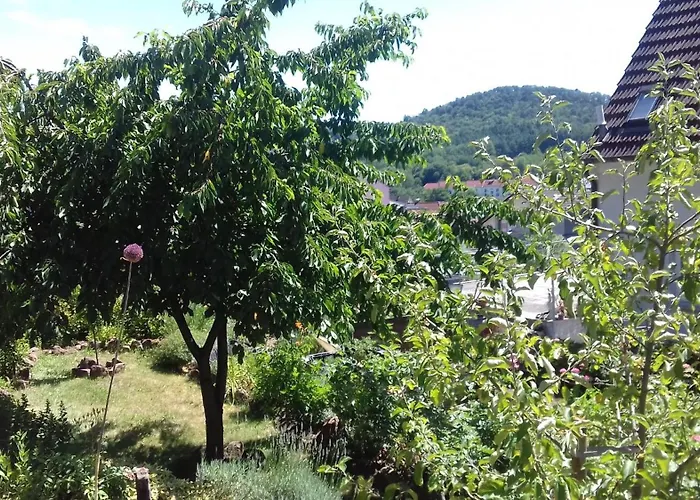 Ruth Apartamento Dahn